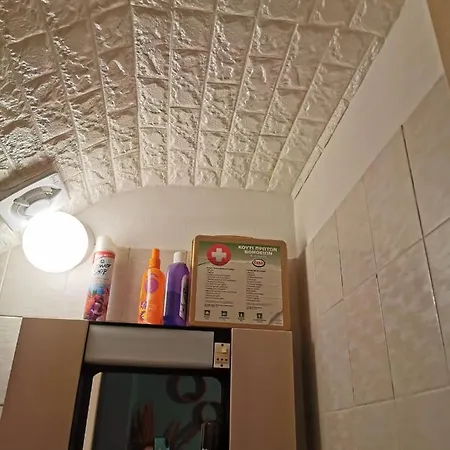 Siamese * باراليمني