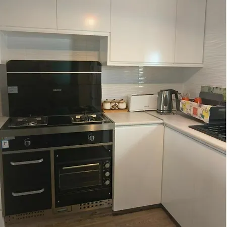 فيلة Siamese باراليمني