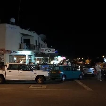 Siamese * Paralimni