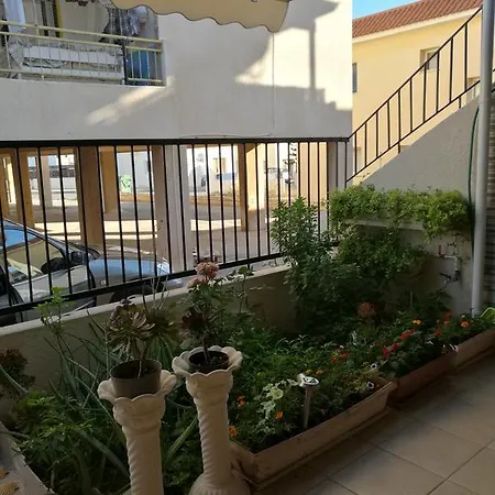 Siamese * Paralimni