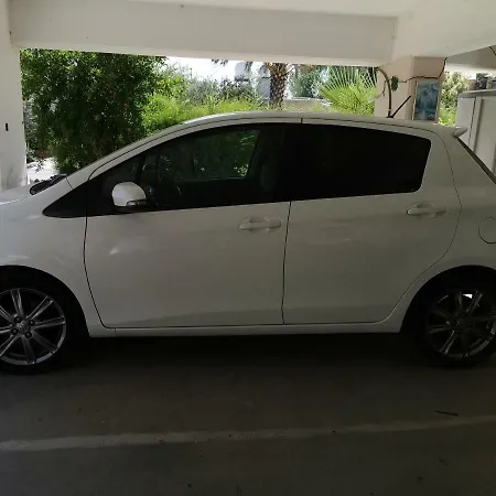 Siamese * Paralimni