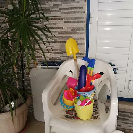 فيلة Siamese باراليمني