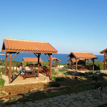 Siamese * Paralimni